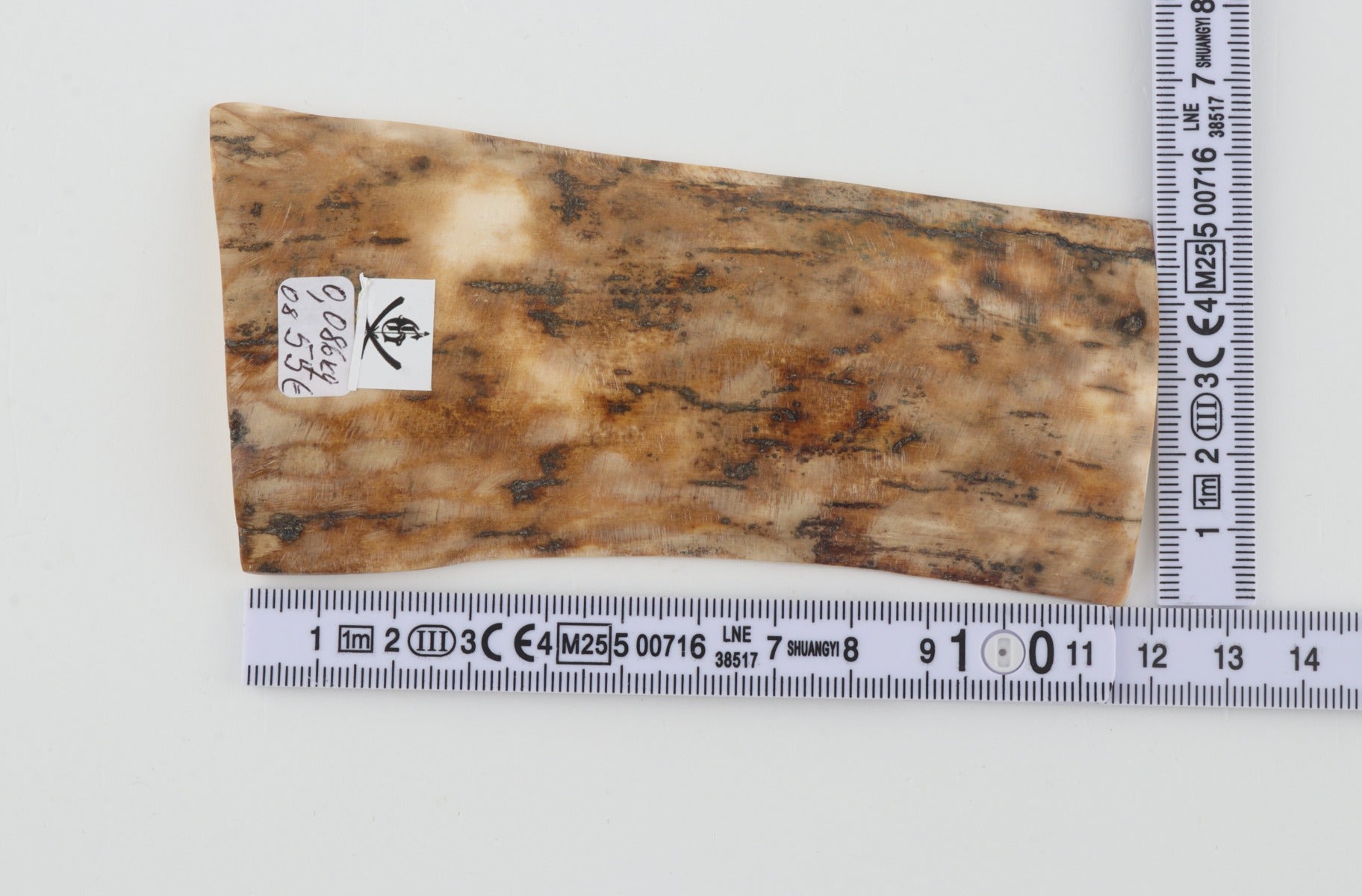 Beige mammoth bark