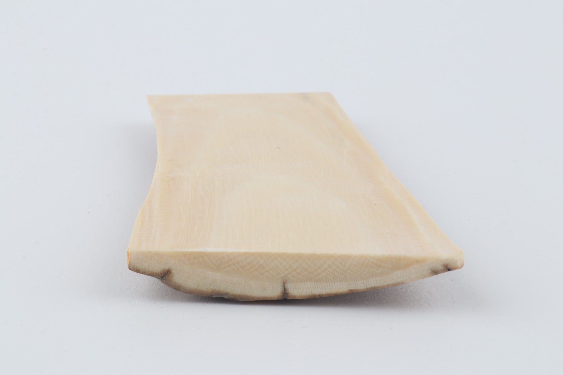 Beige mammoth bark