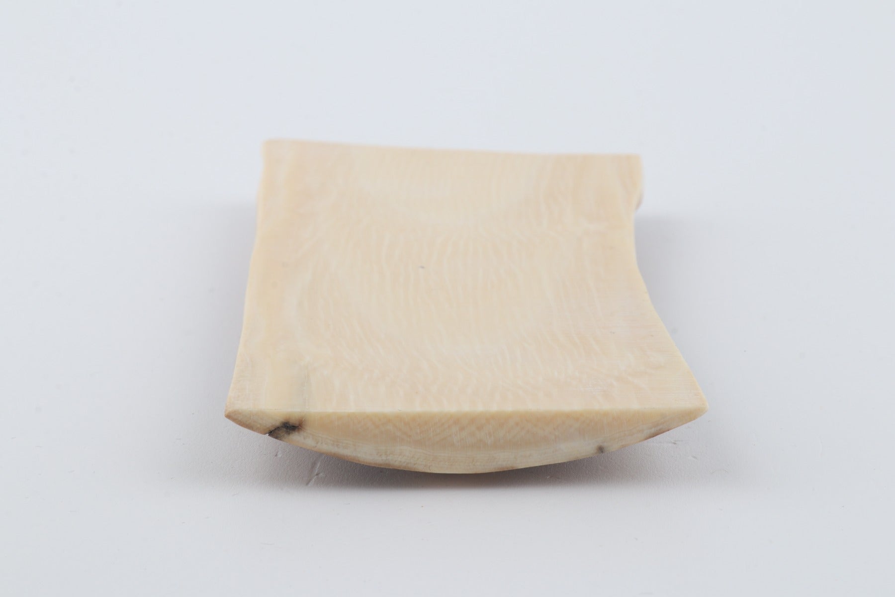 Beige mammoth bark