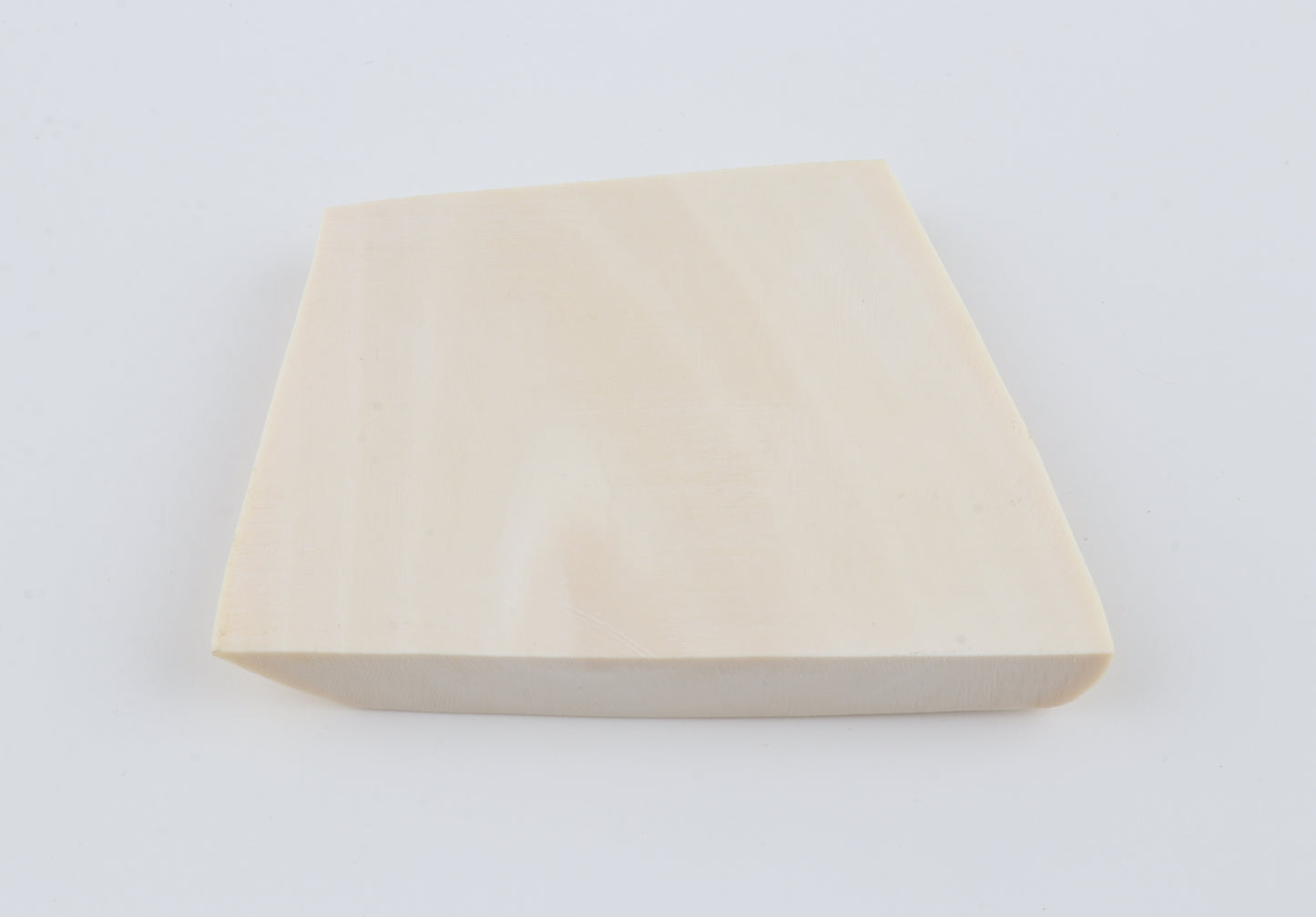 White mammoth ivory segment