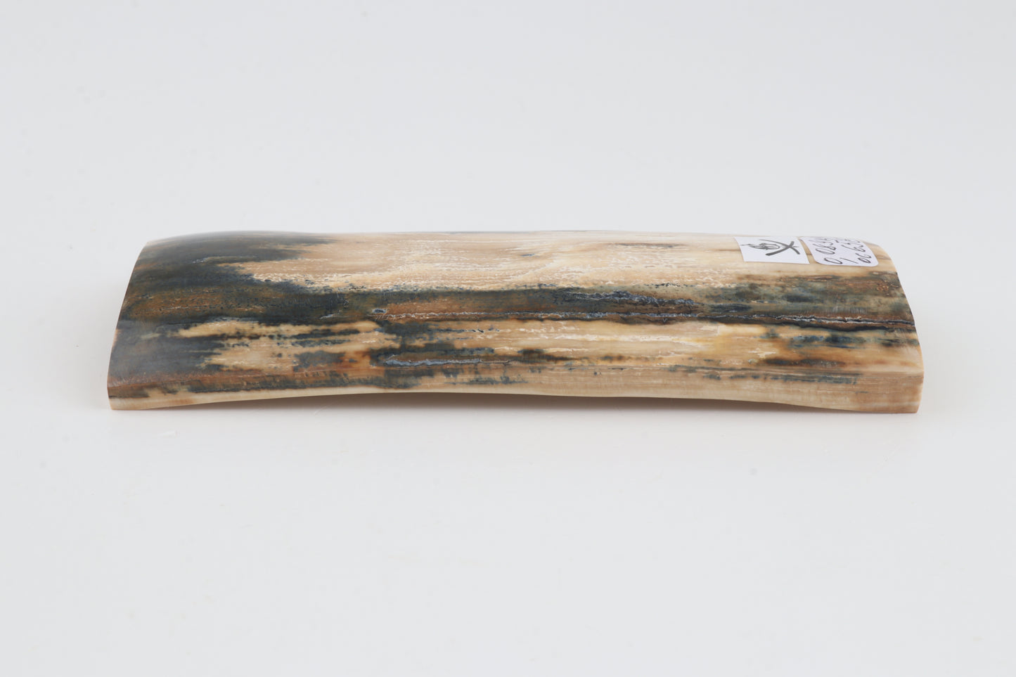 Natural woolly mammoth bark
