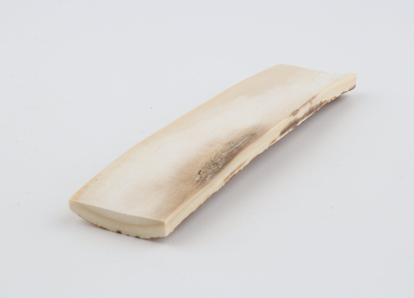 Orange-white mammoth bark