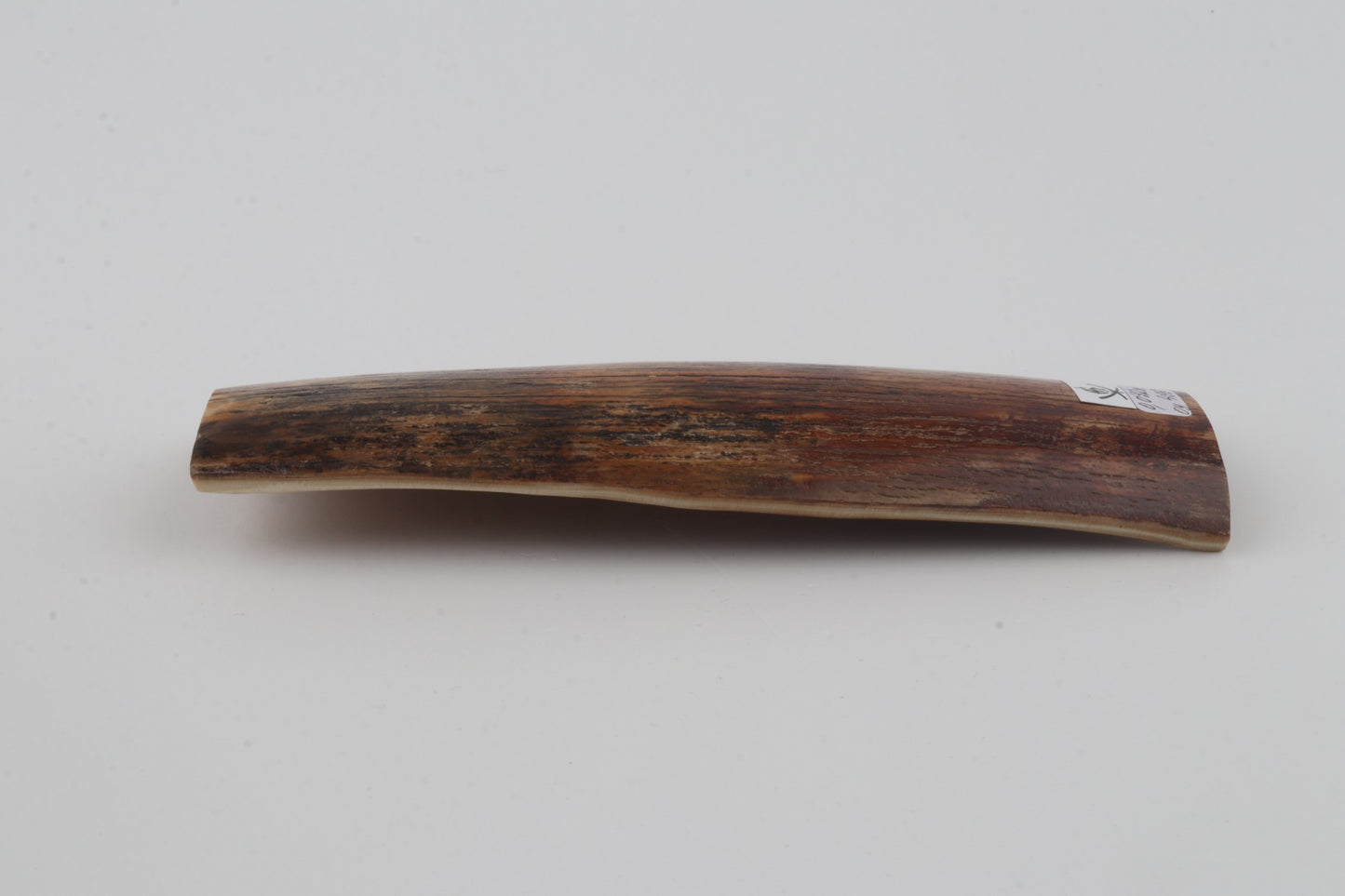Brown-orange mammoth bark