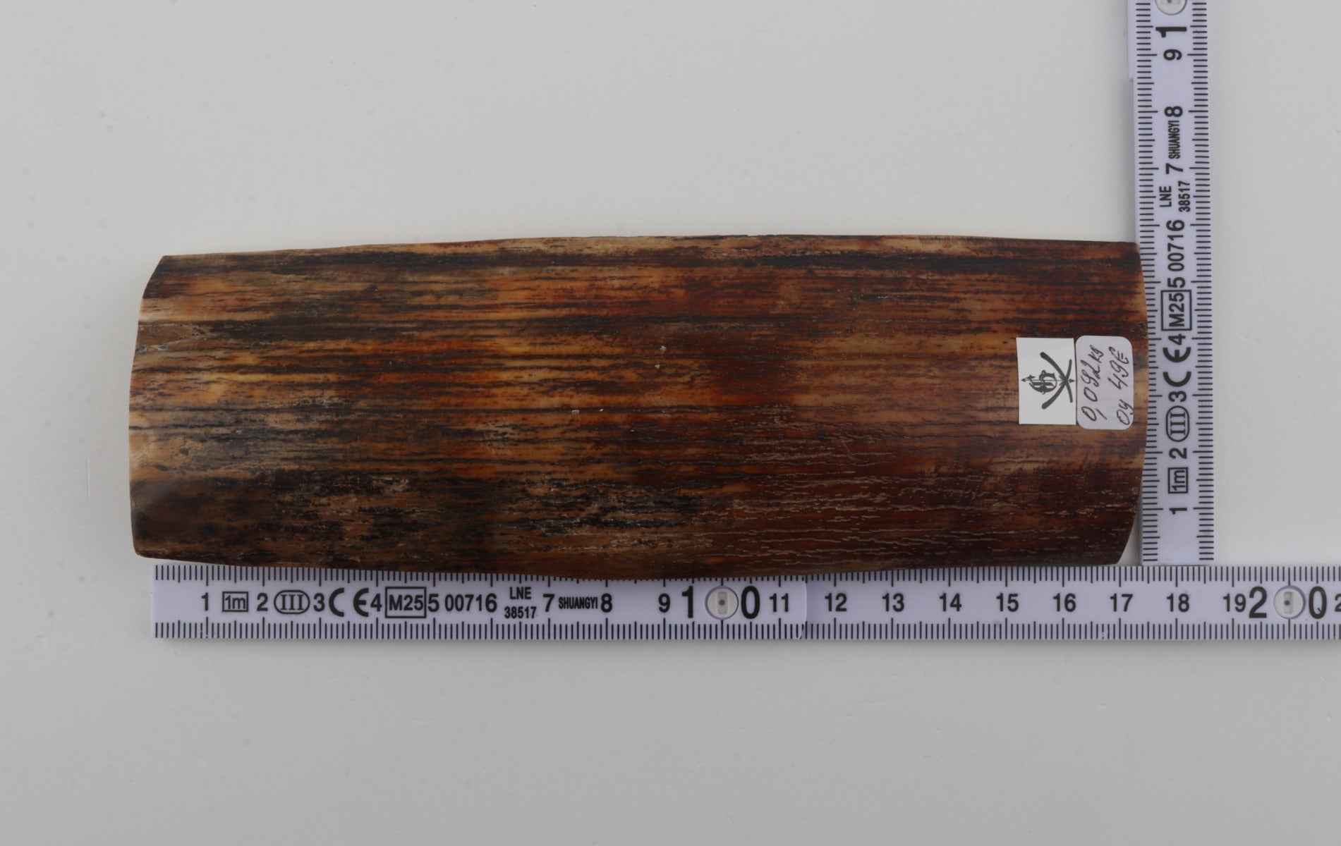 Brown-orange mammoth bark