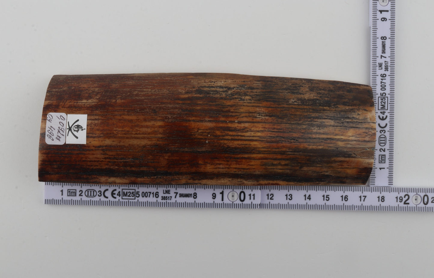 Brown-orange mammoth bark