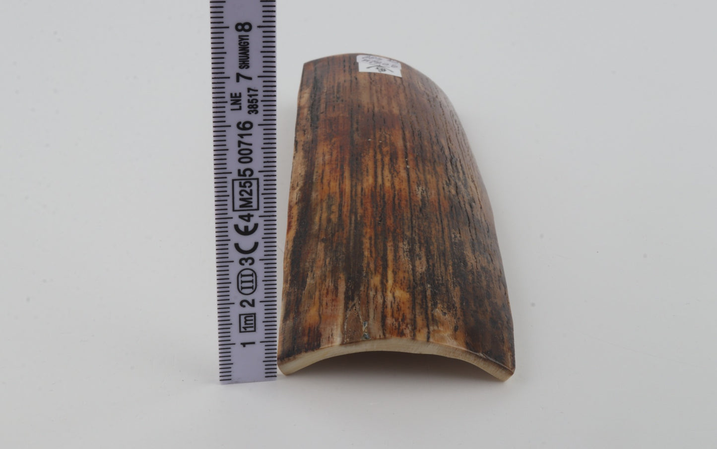 Brown-orange mammoth bark