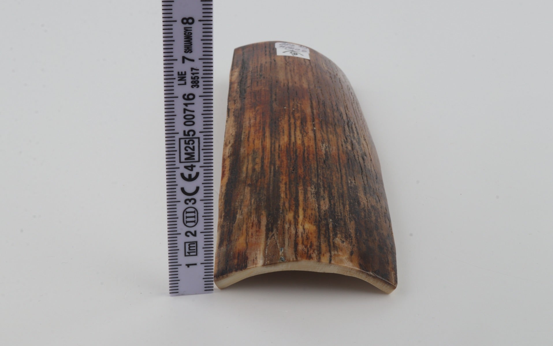 Brown-orange mammoth bark