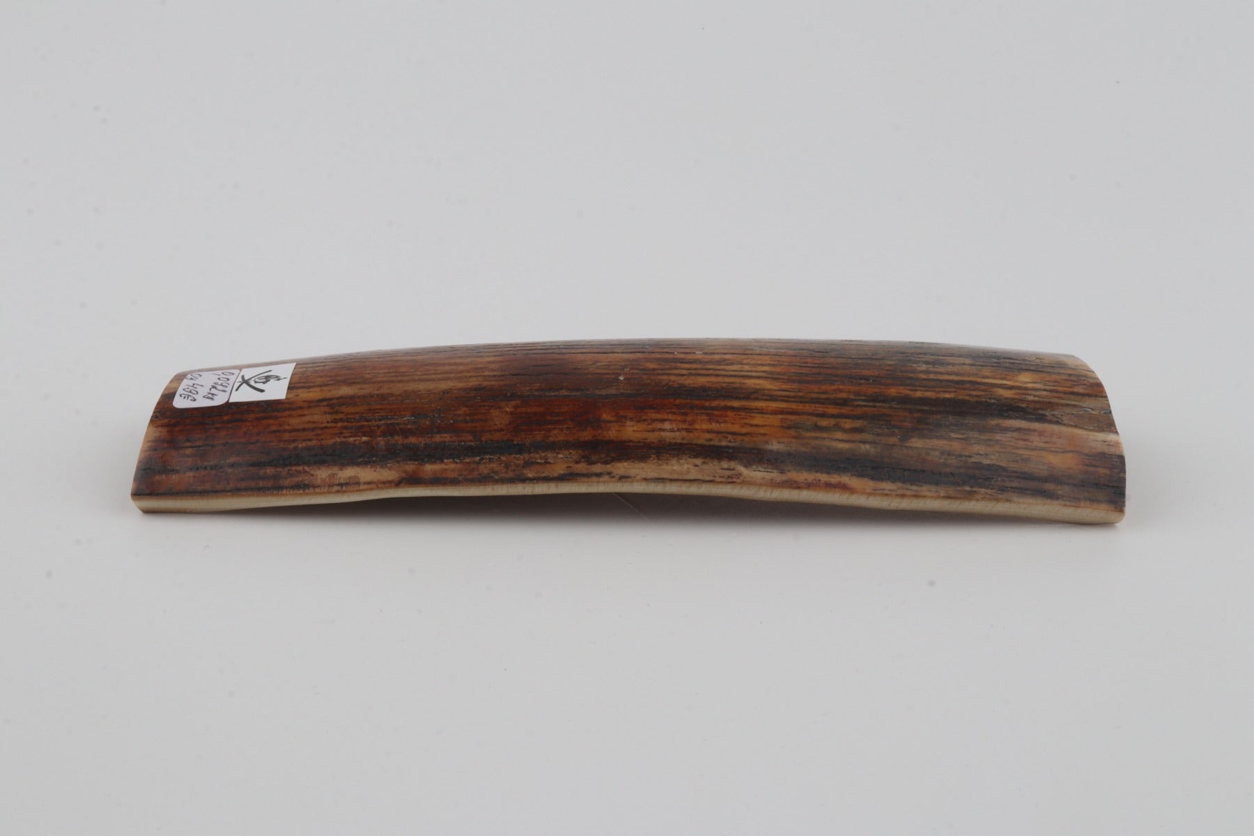 Brown-orange mammoth bark