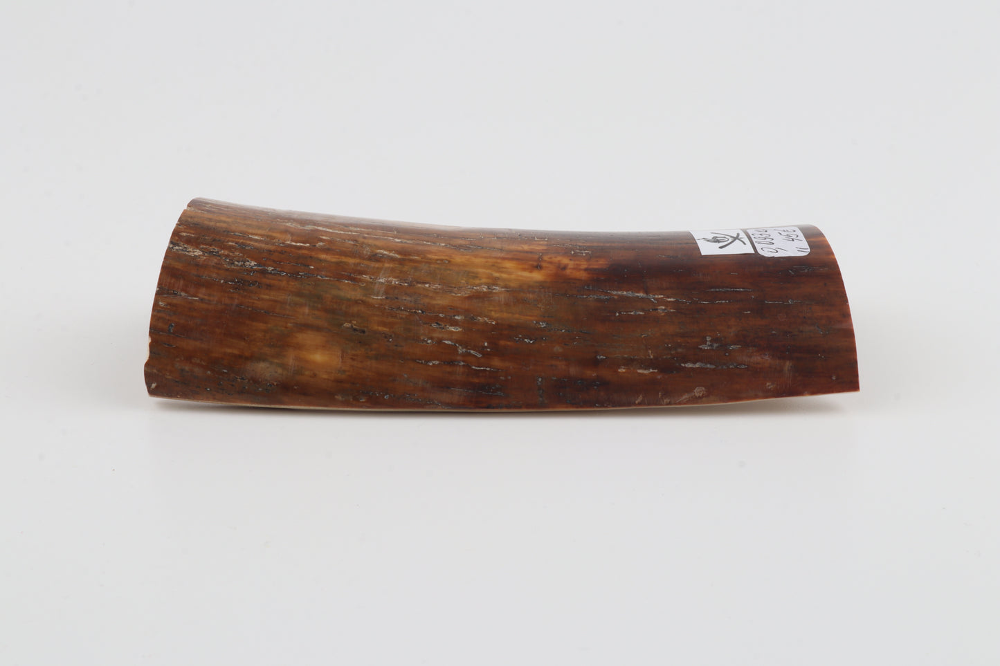 Brown-caramel mammoth bark