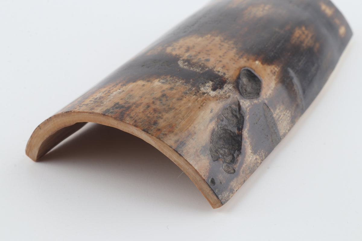 Chocolate-brown mammoth bark