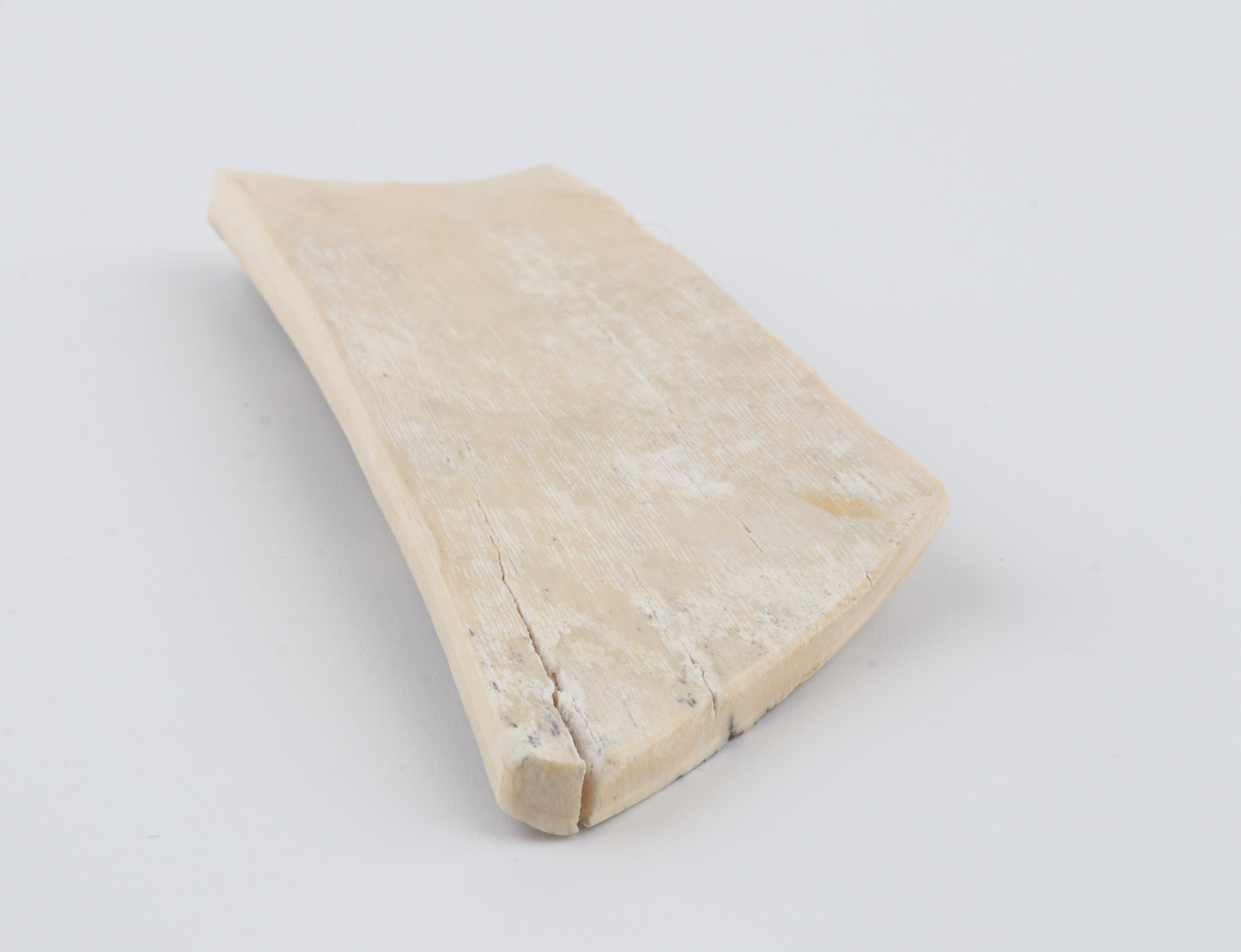Brown-white mammoth bark