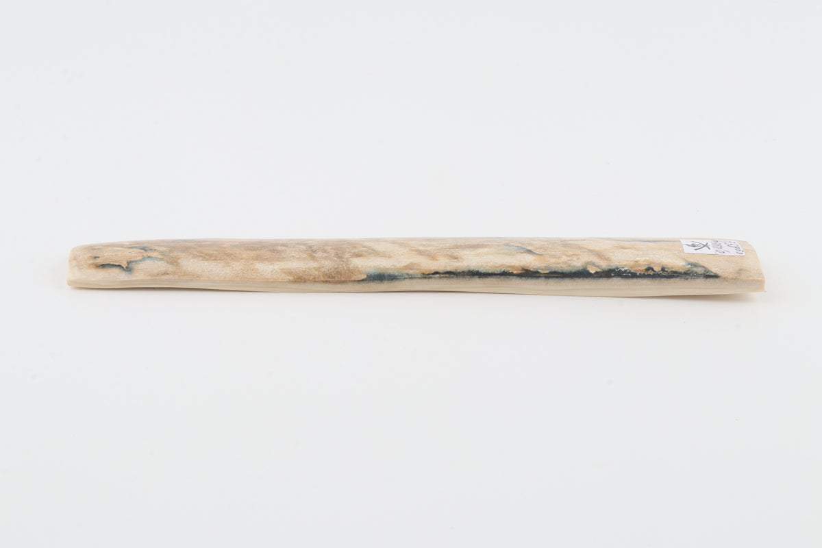 Cream-beige mammoth bark