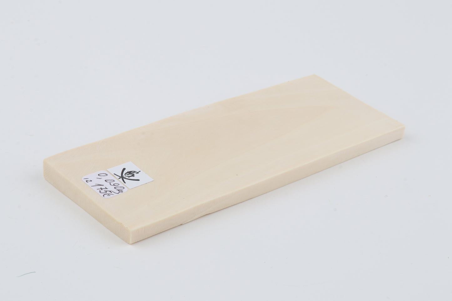 White mammoth ivory segment