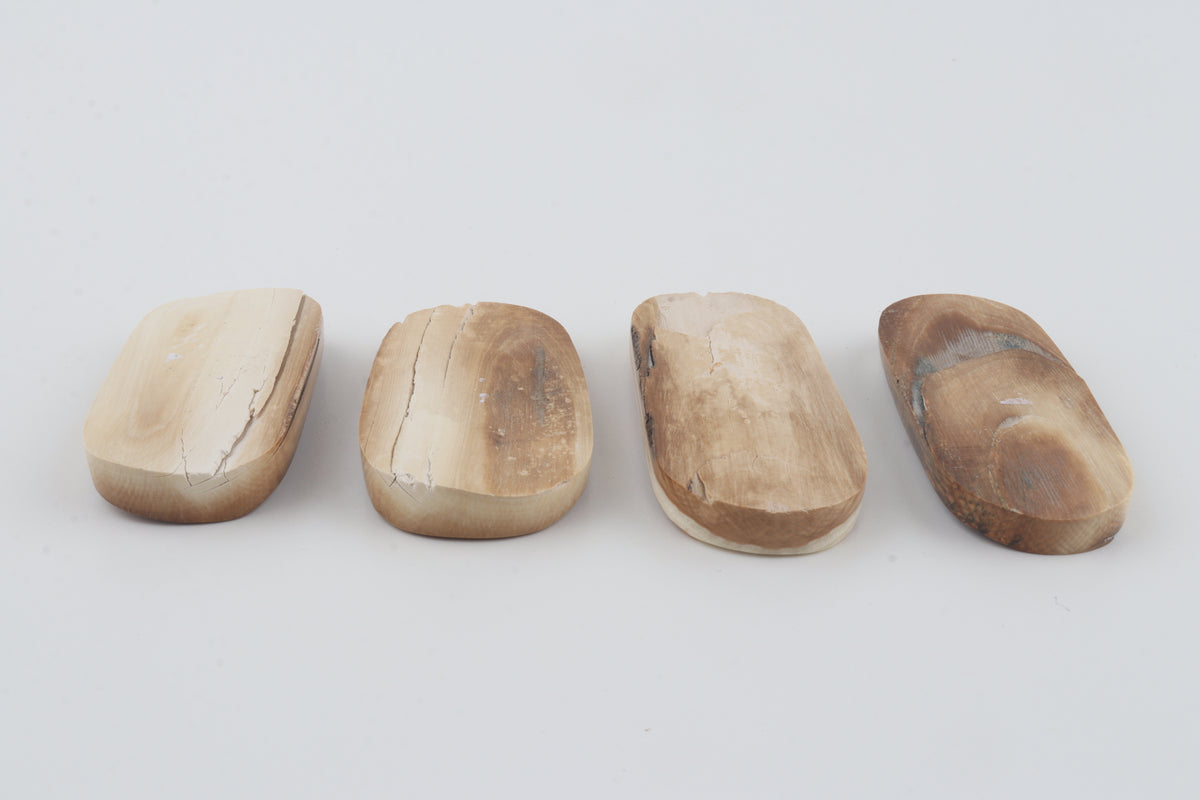 Natural mammoth bark pieces