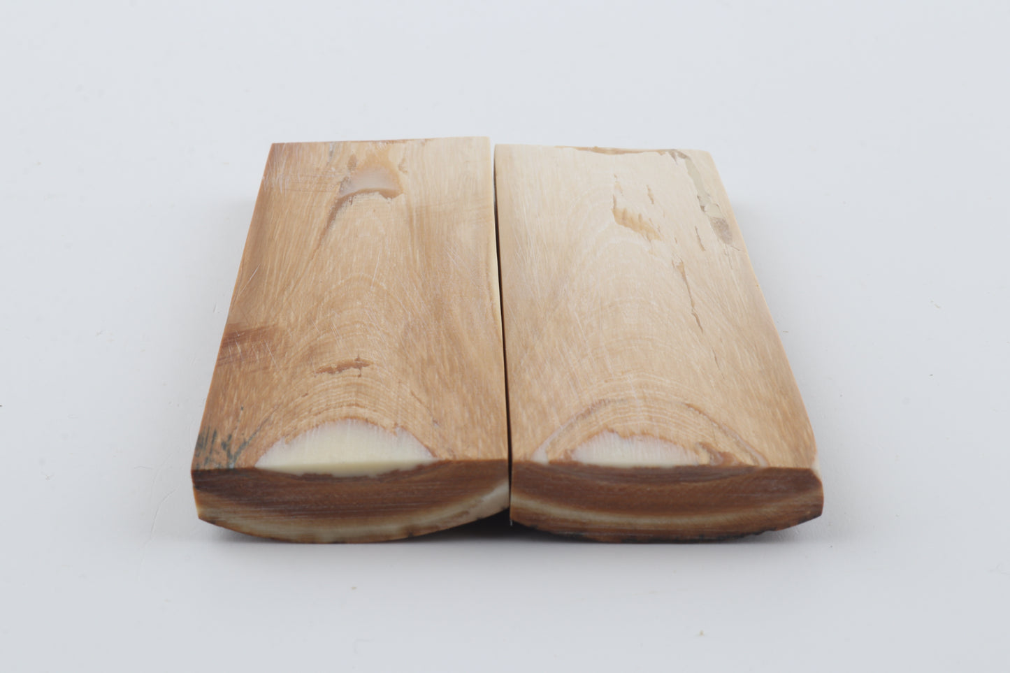 Stabilized mammoth bark scales