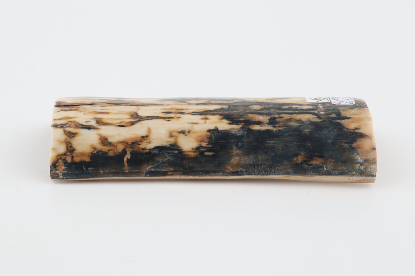 Natural woolly mammoth bark