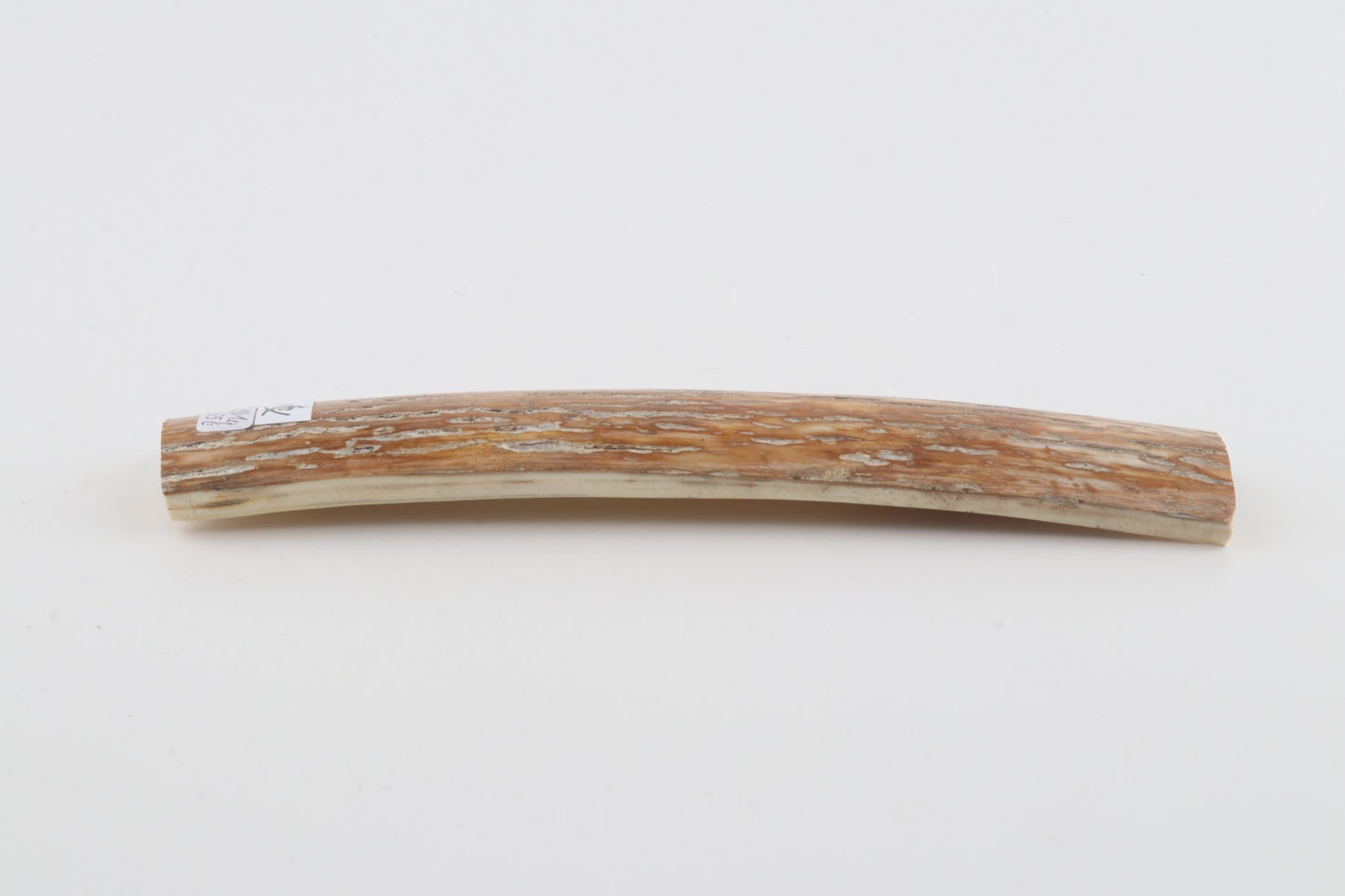 Caramel-grey mammoth bark