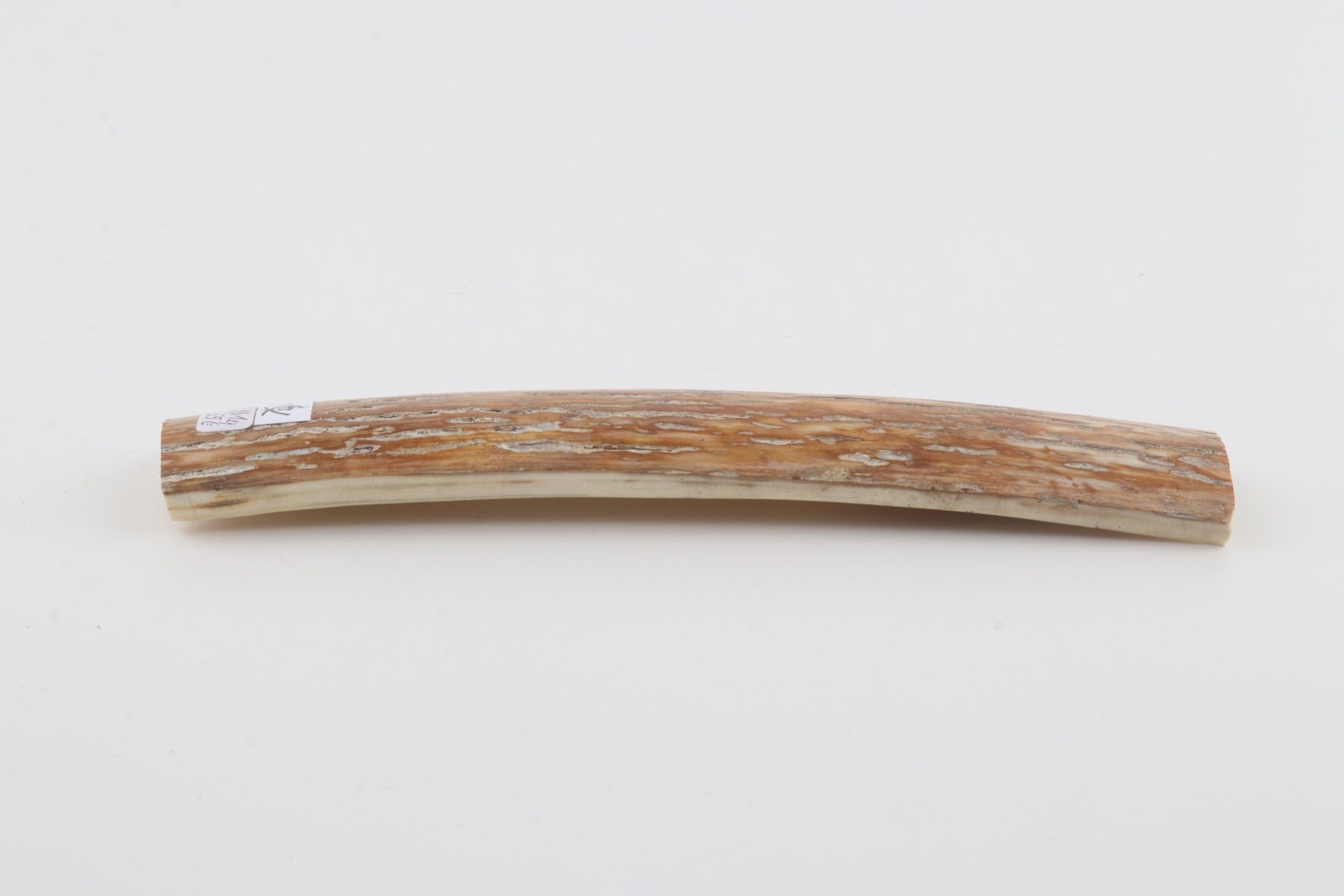 Caramel-grey mammoth bark