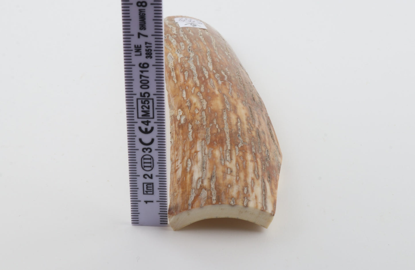 Caramel-grey mammoth bark