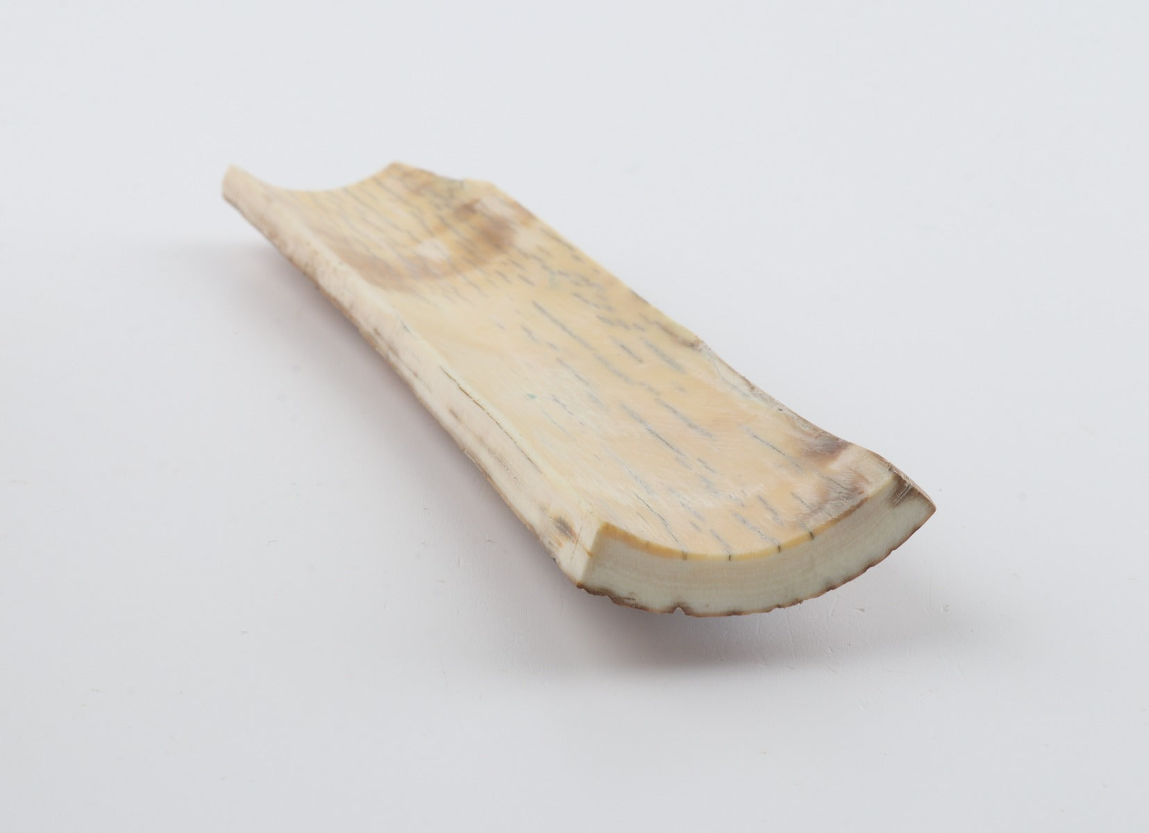 Caramel-grey mammoth bark