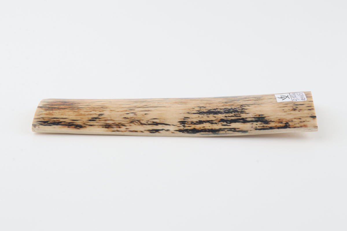 Creme-black mammoth bark
