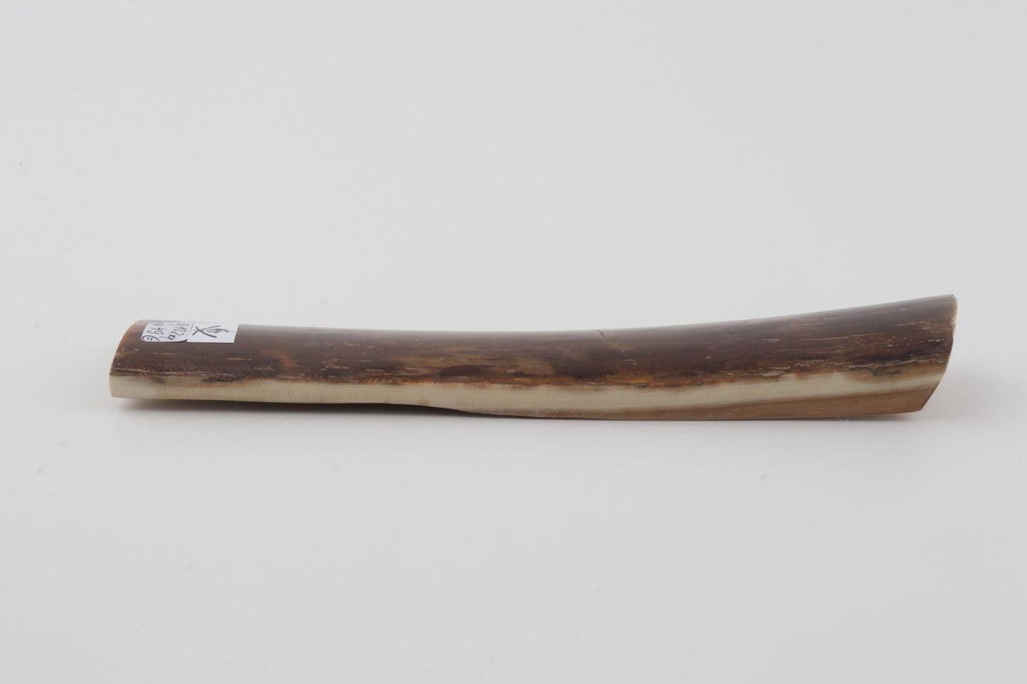 Brown mammoth bark