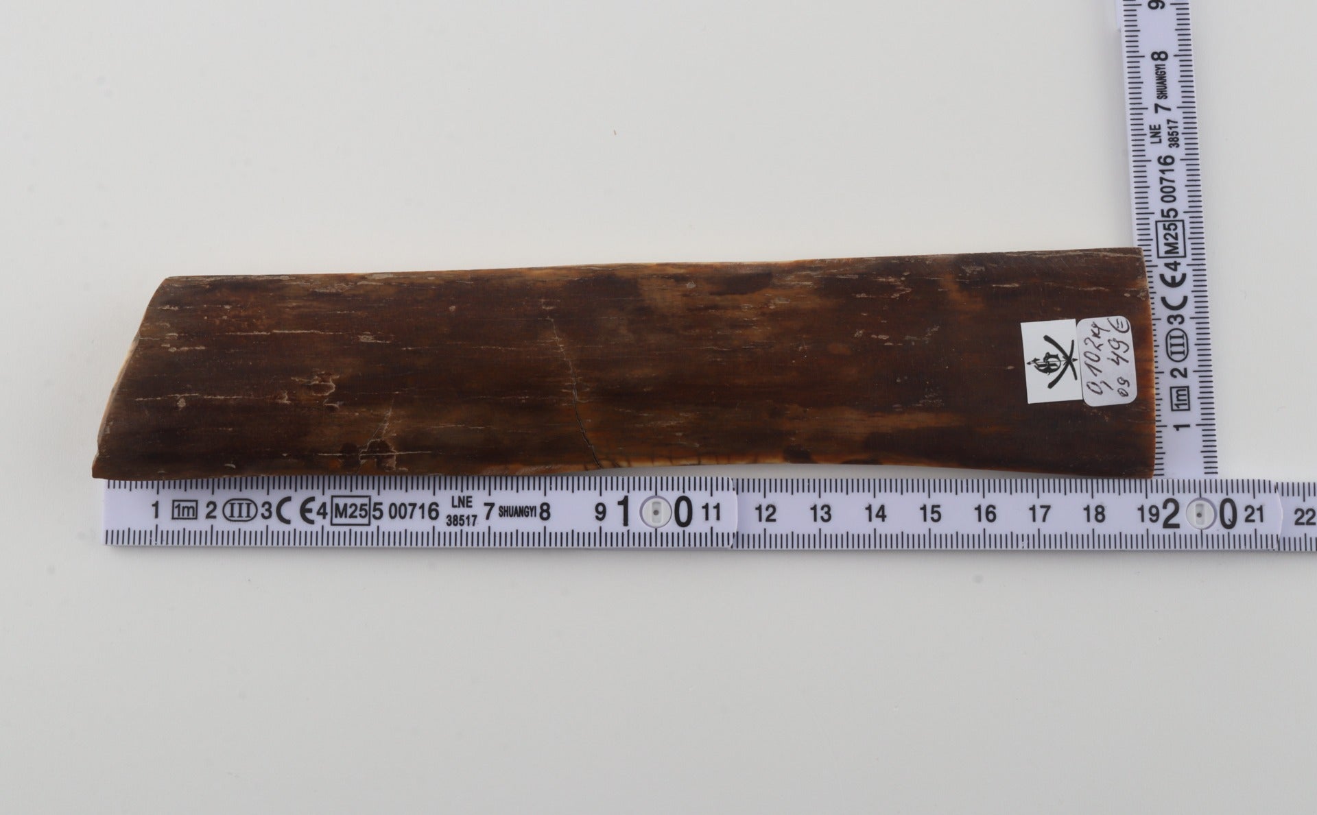 Brown mammoth bark