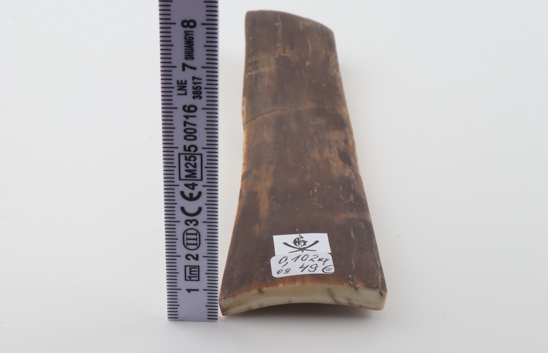 Brown mammoth bark