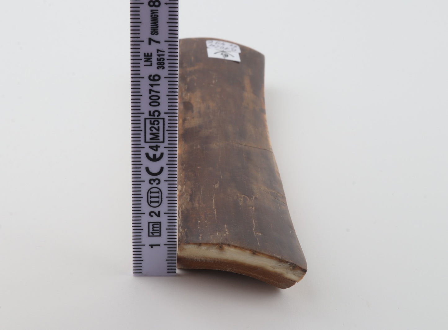 Brown mammoth bark