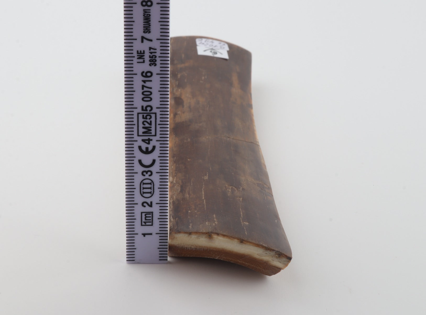 Brown mammoth bark