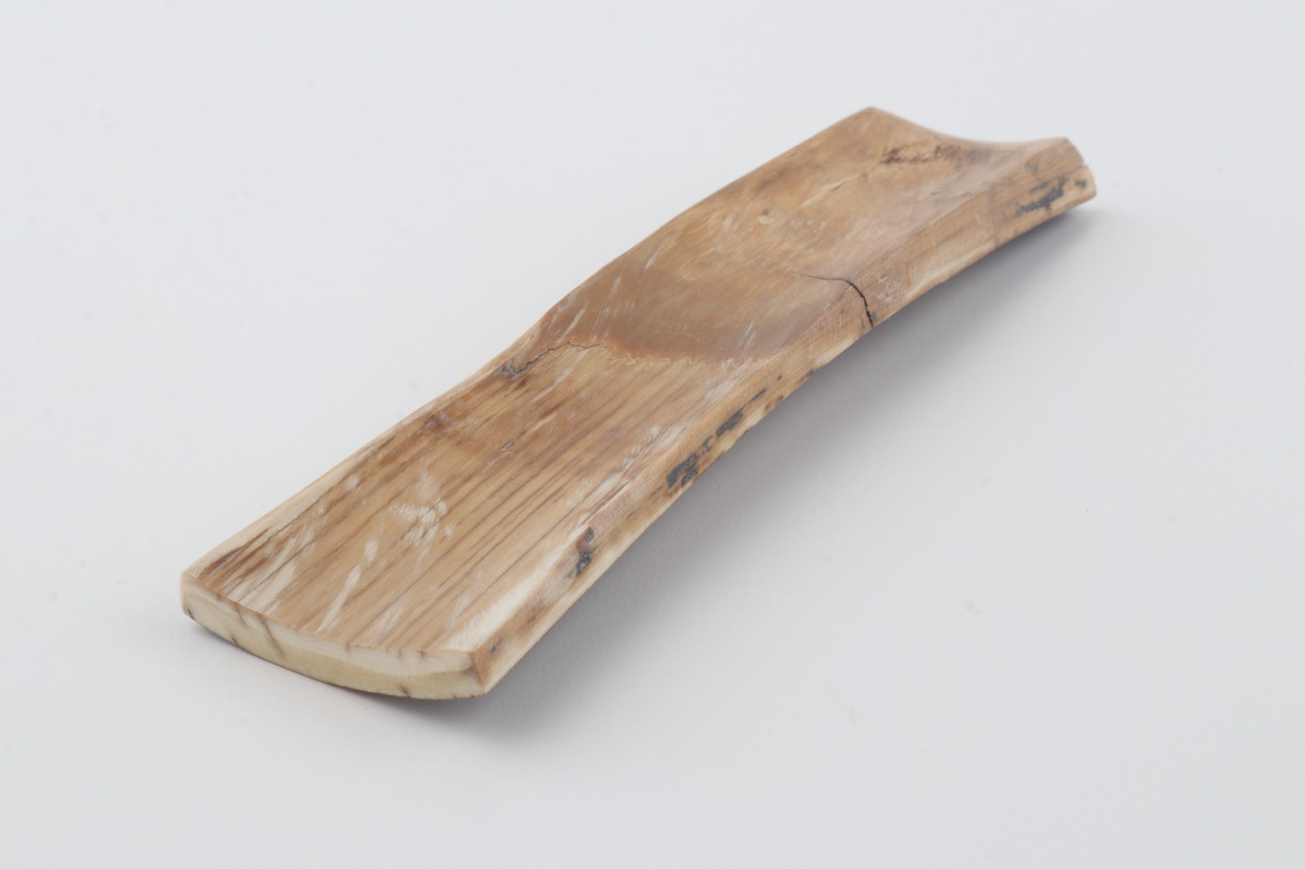 Brown mammoth bark