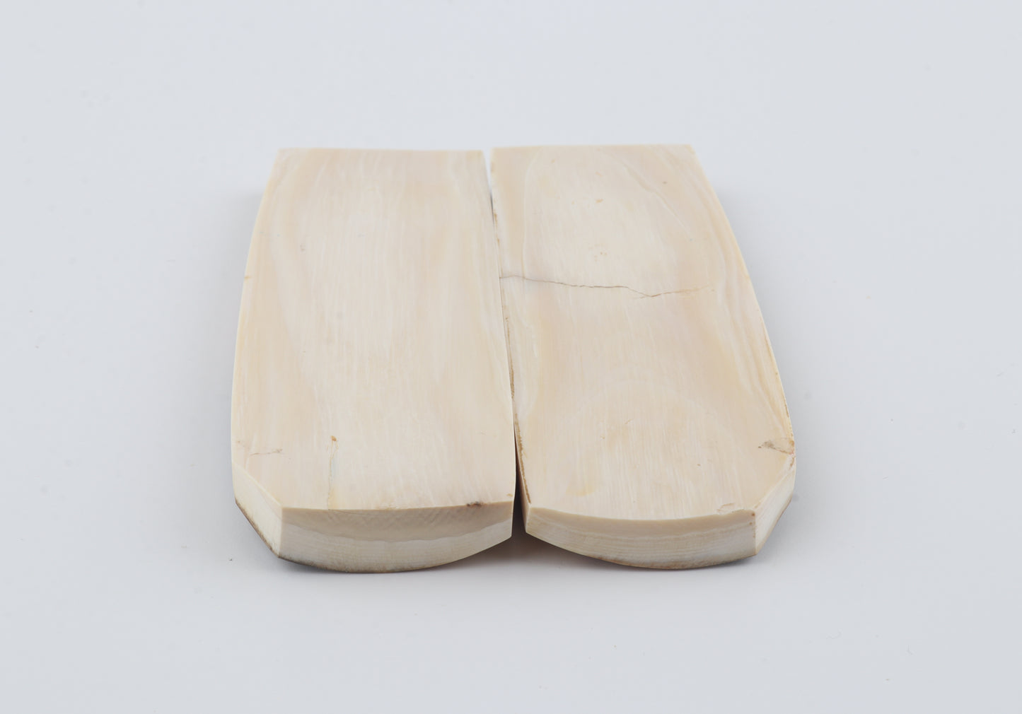 Natural mammoth bark scales