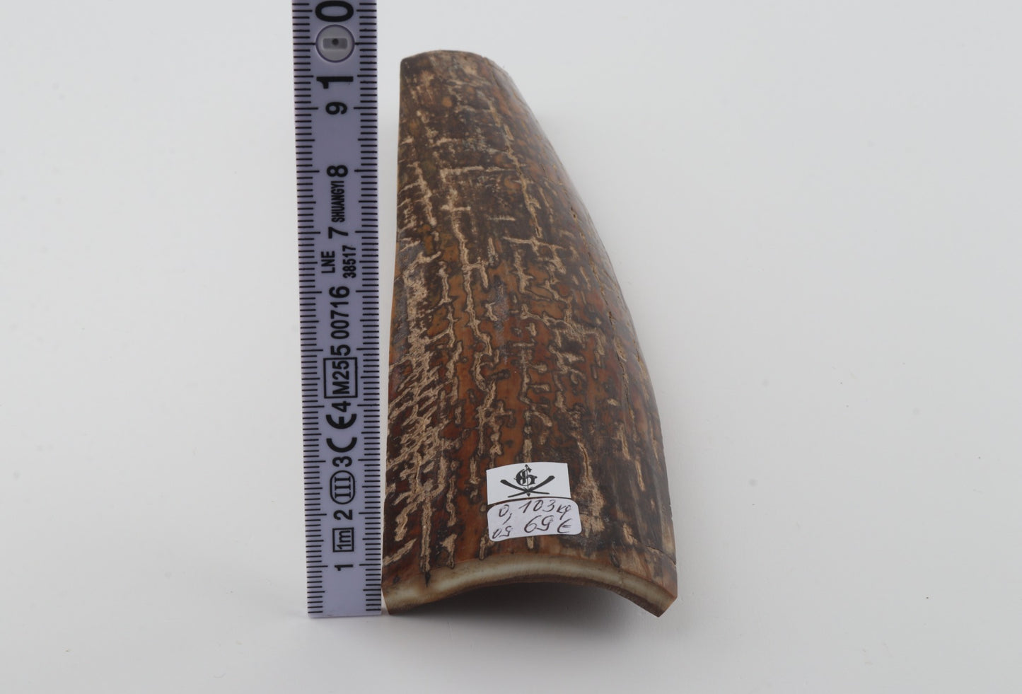 Brown mammoth bark