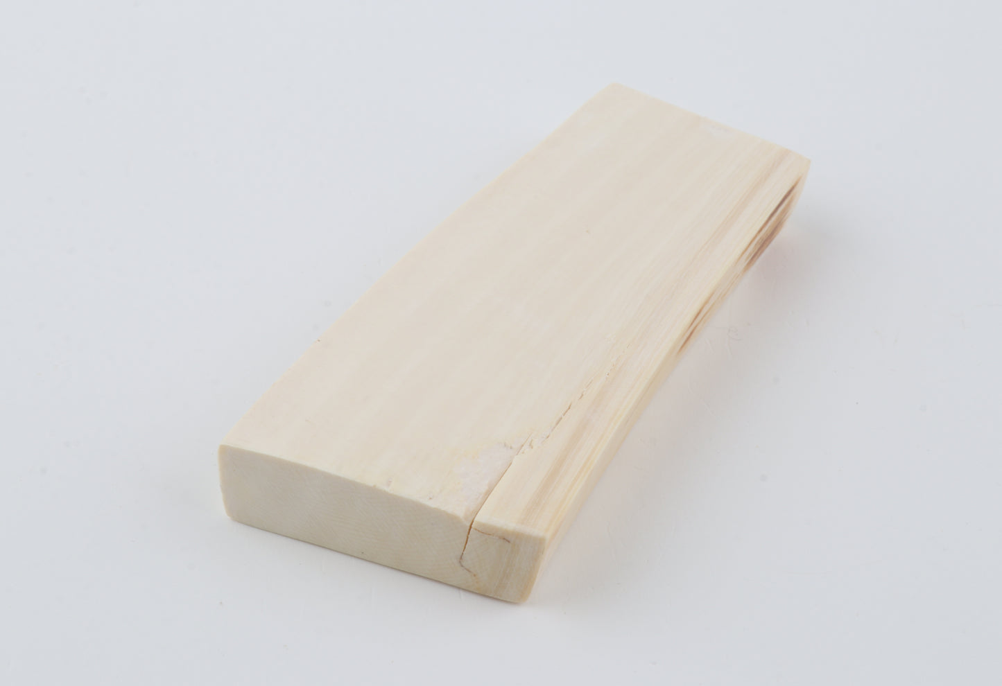 White mammoth ivory segment