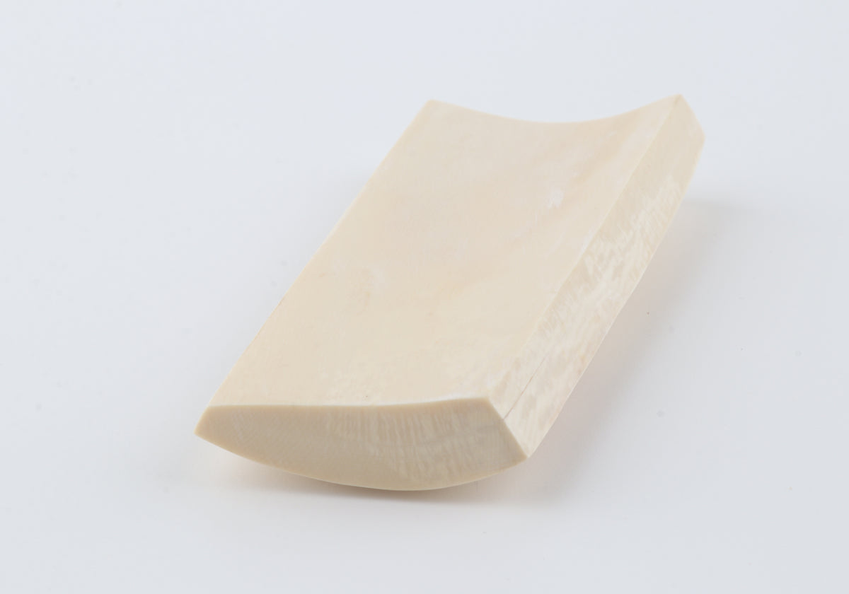 White mammoth ivory segment