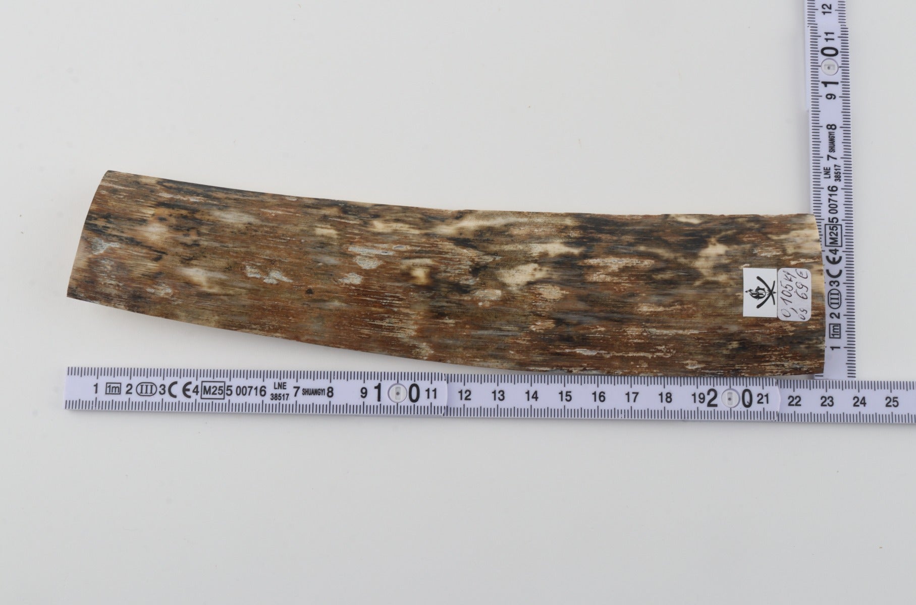 Beige mammoth bark