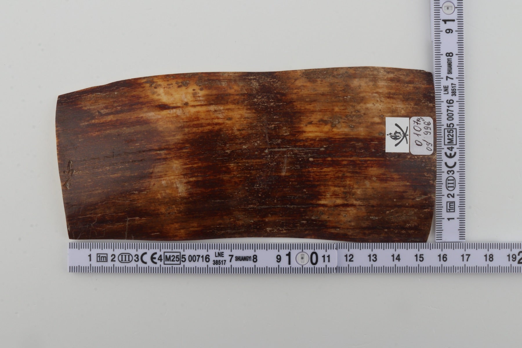 Brown-orange mammoth bark