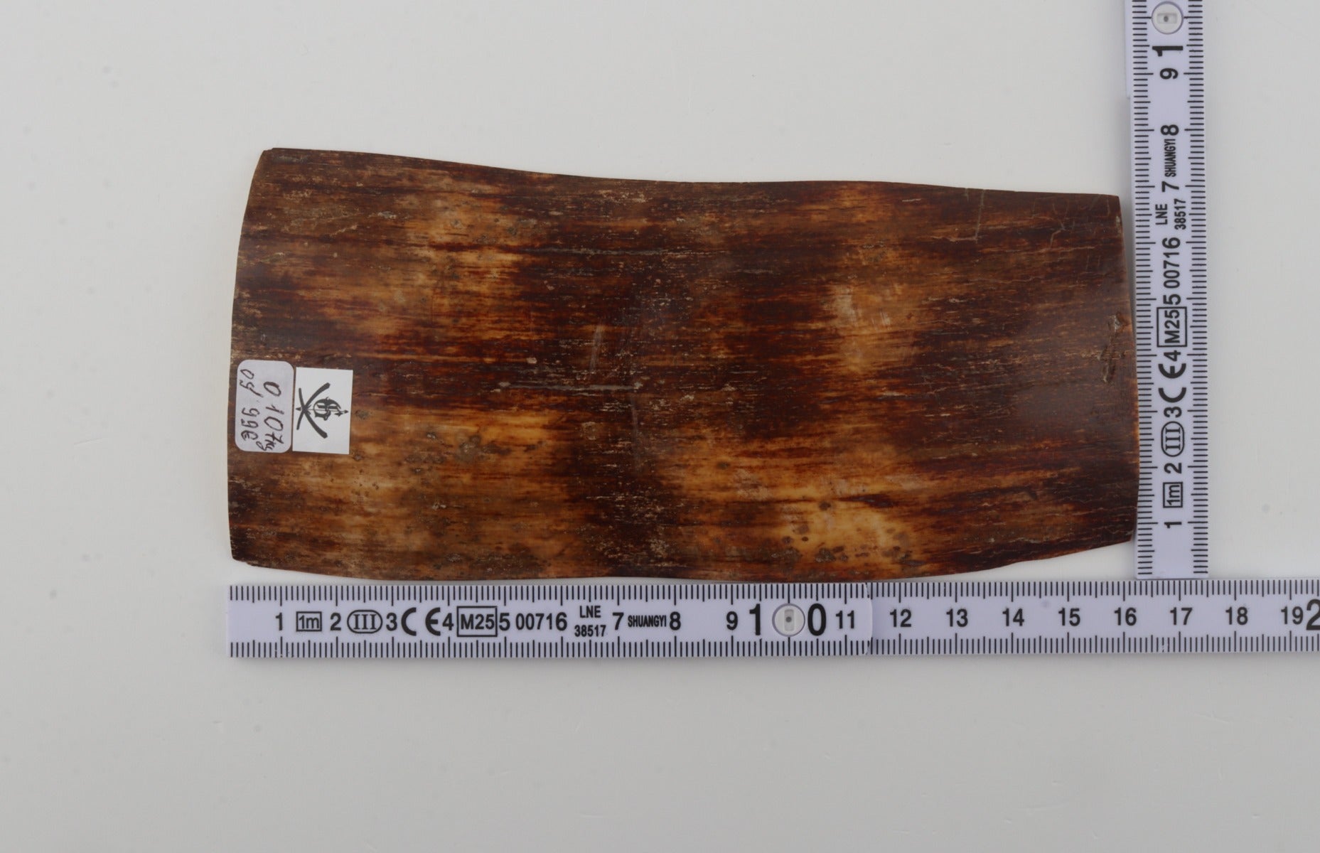 Brown-orange mammoth bark