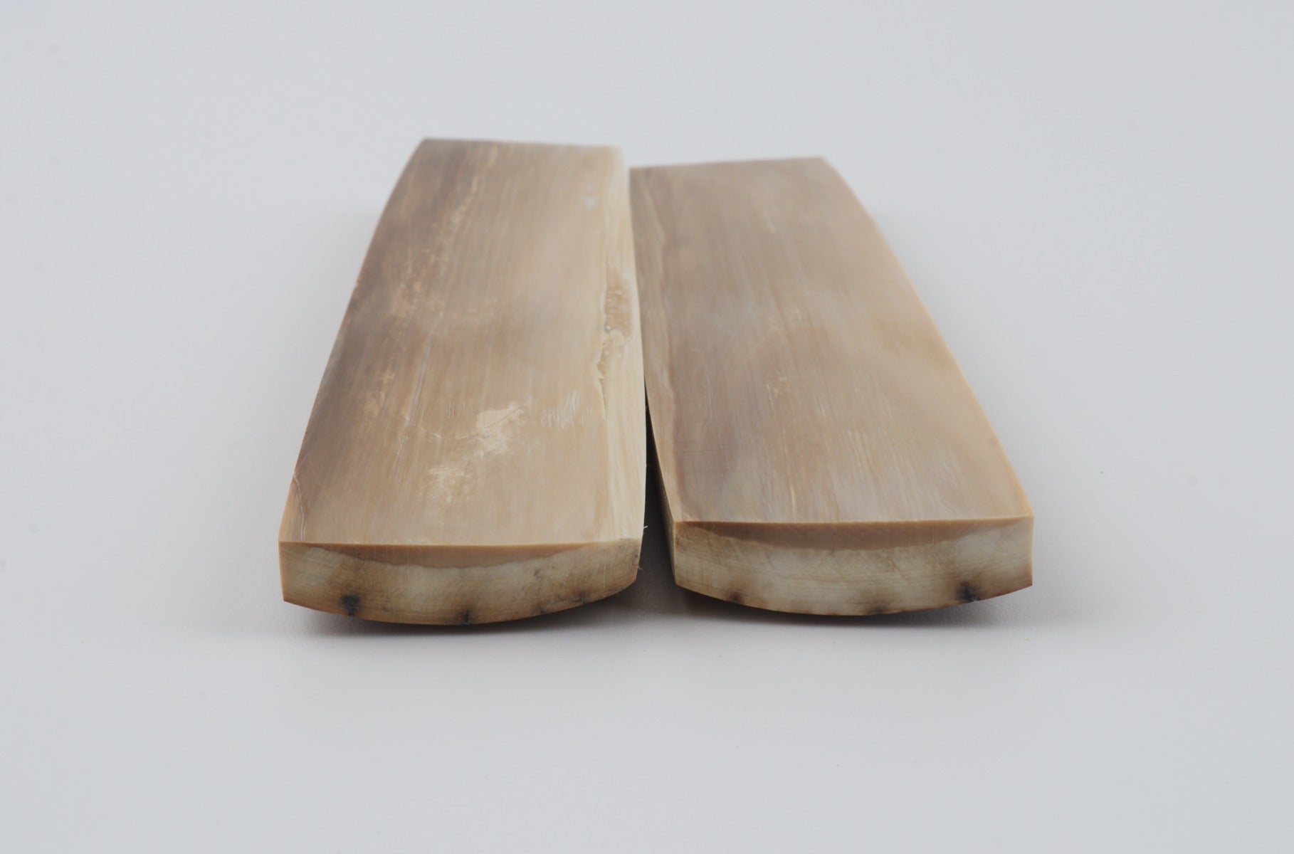 Natural mammoth bark scales