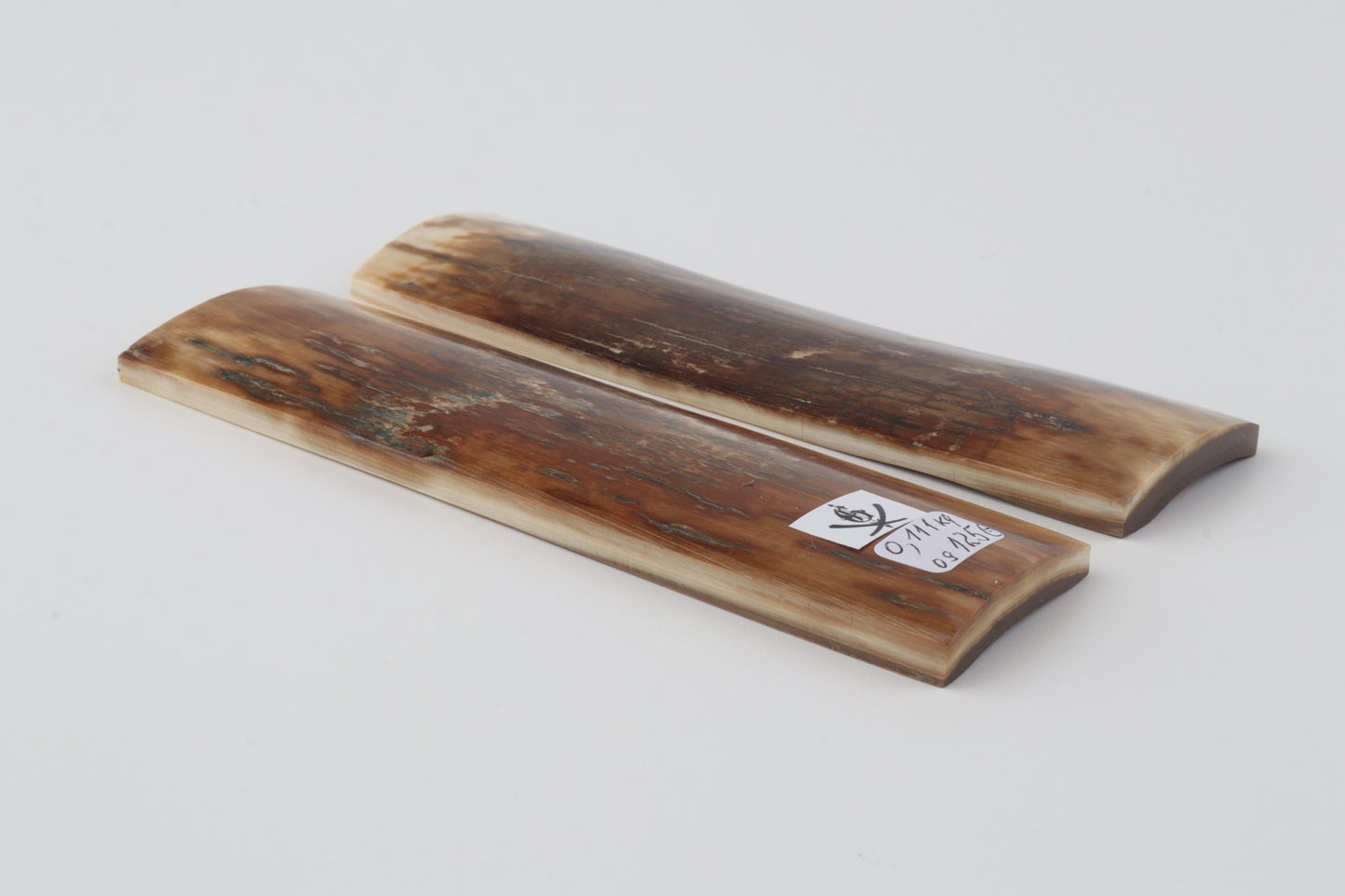 Natural mammoth bark scales