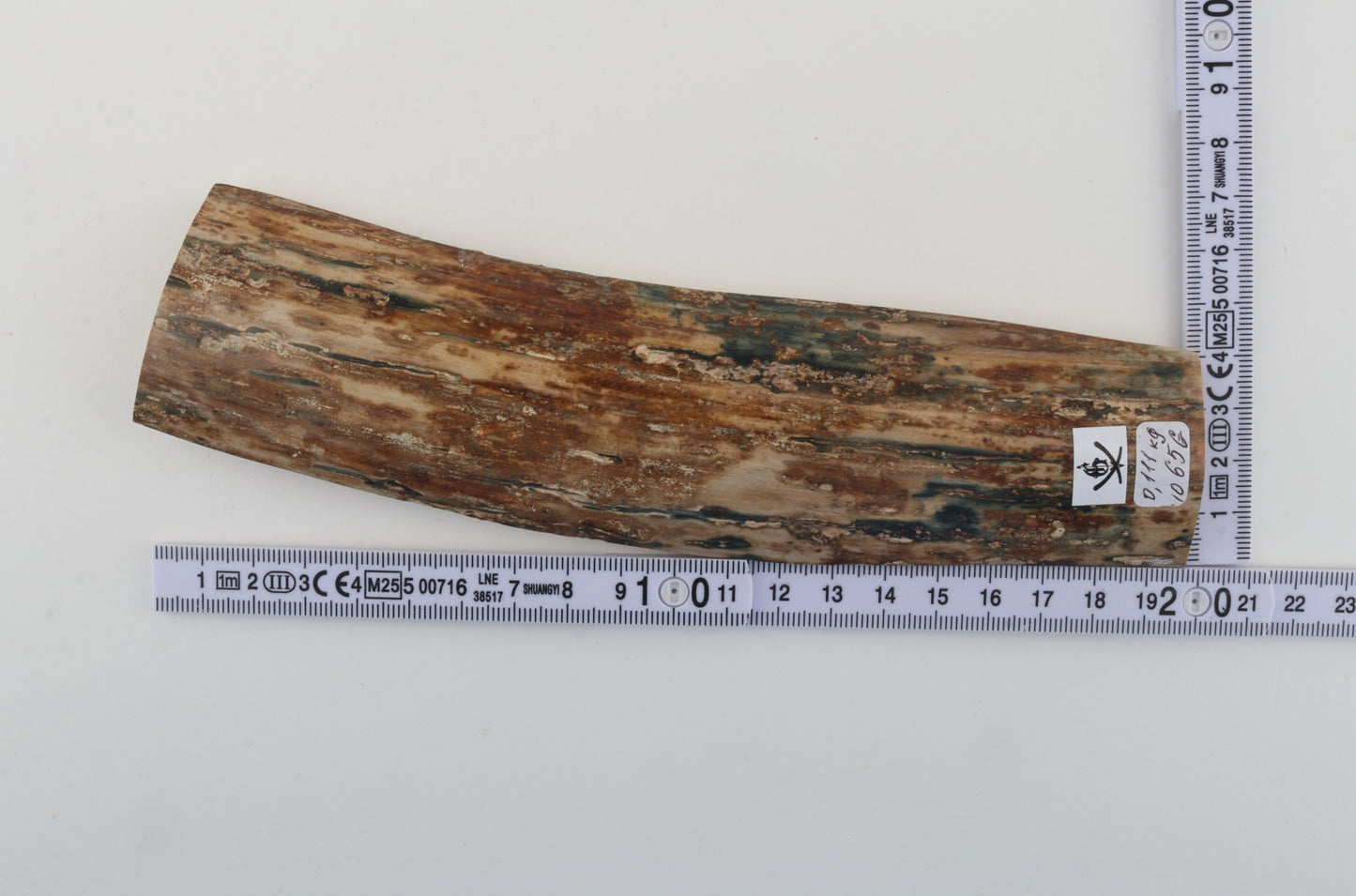 Mustard mammoth bark