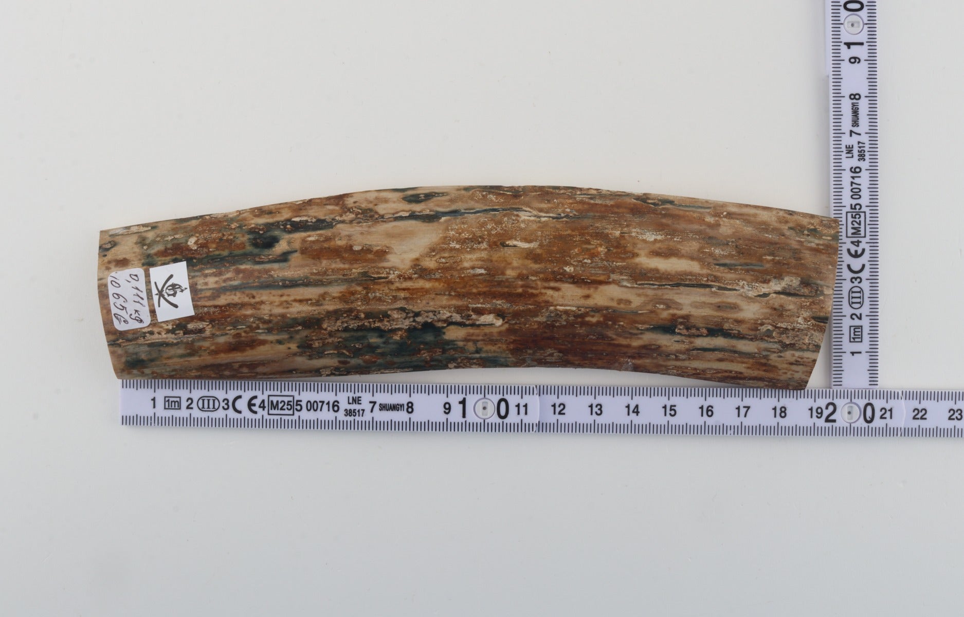 Mustard mammoth bark