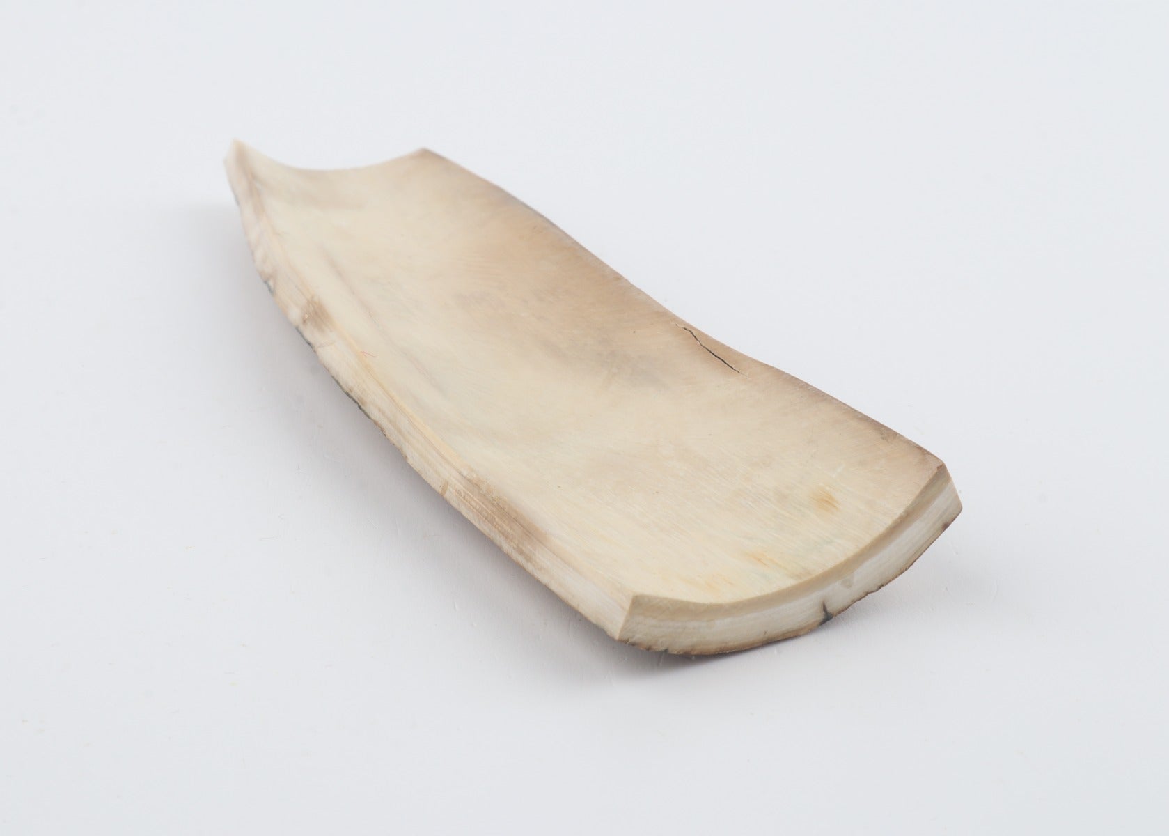 Mustard mammoth bark