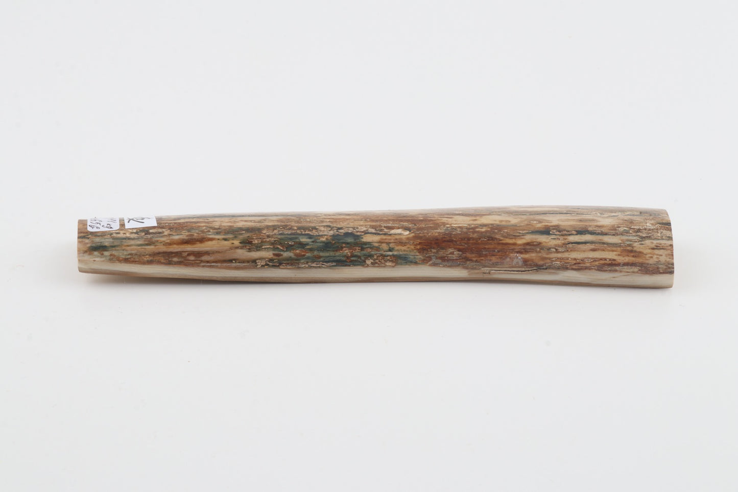 Mustard mammoth bark