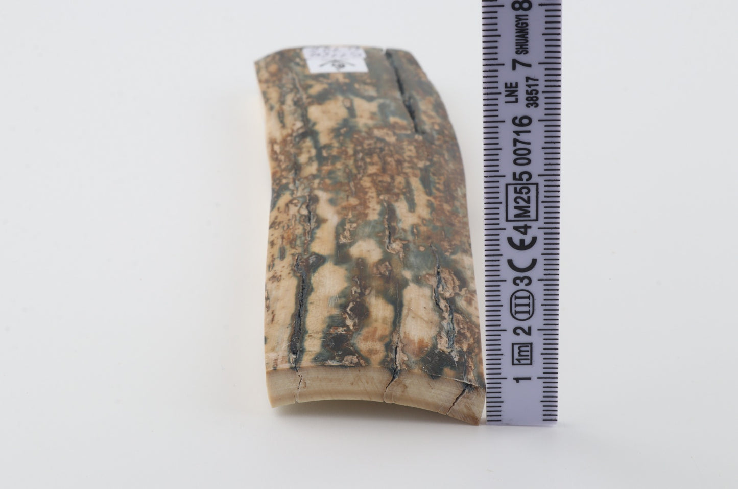 Natural woolly mammoth bark