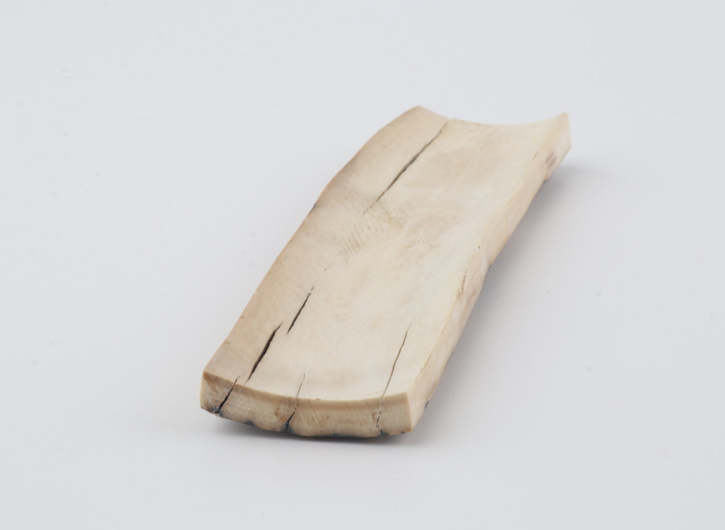 Natural woolly mammoth bark