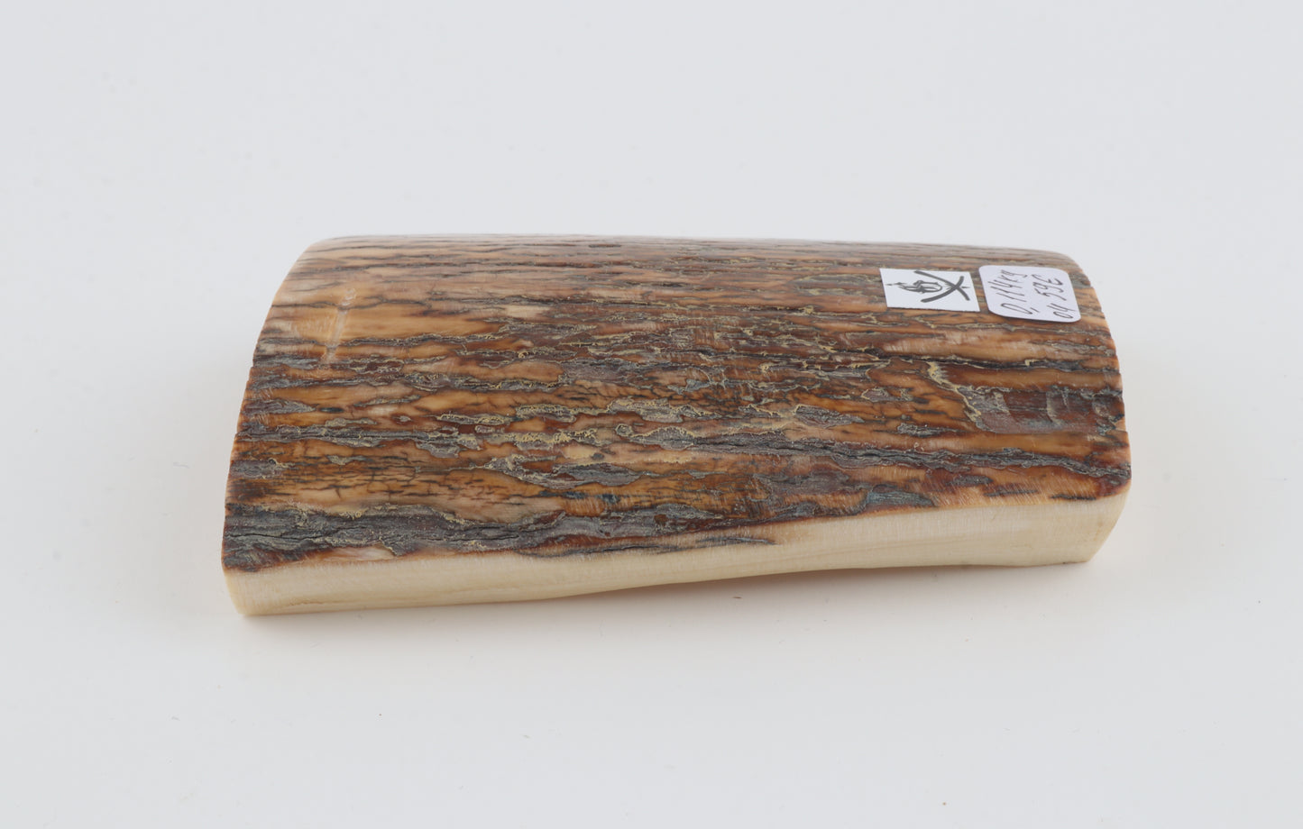 Orange-brown mammoth bark