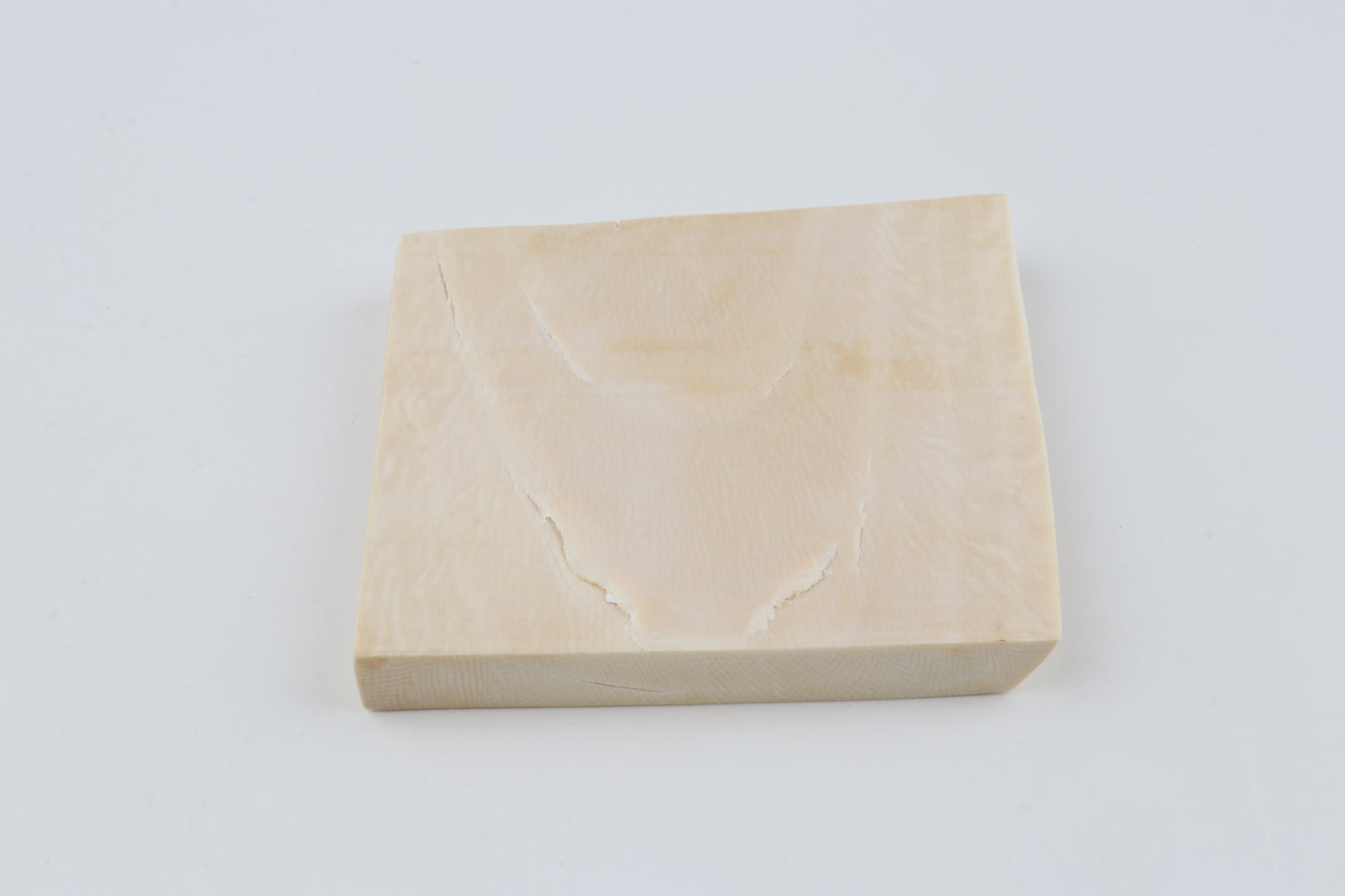 White mammoth ivory segment