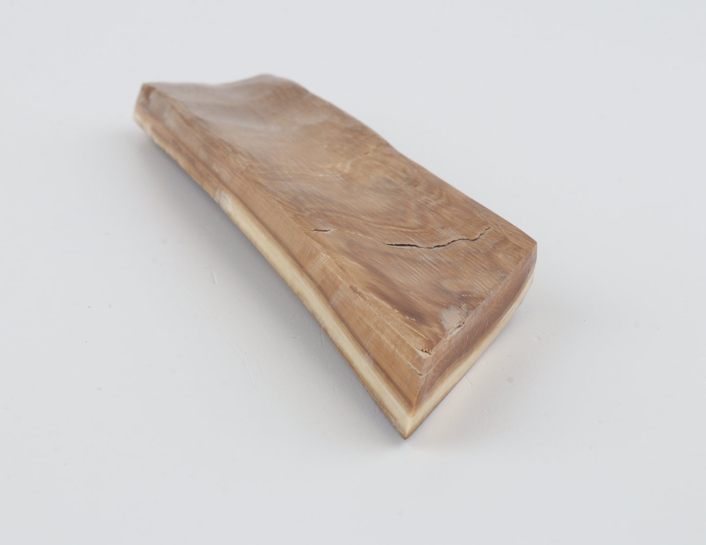 Mustard-green mammoth bark