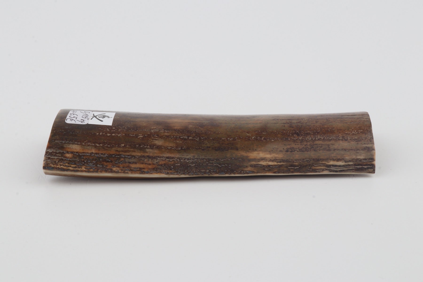 Brown-green mammoth bark